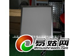 金针菇种植灯图1