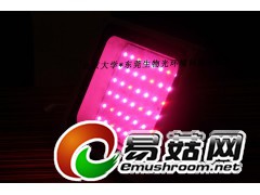 led凤尾菇助长灯图2