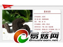 野生灵芝-琼洲岛血灵芝图1