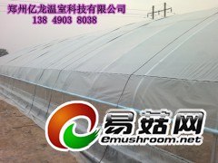三门峡温室大棚蘑菇钢管种植大棚 许昌食用菌大棚图3