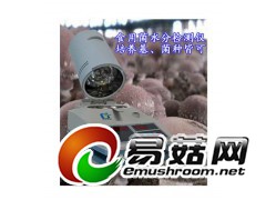 食用菌水分仪,食用菌水分检测仪,香菇水分测定仪,水分测量仪图3