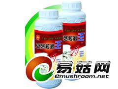 平菇转潮王 规格：500ml*20瓶图1