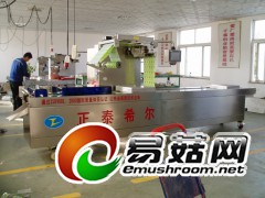 供应茶叶,糖果,玉米,粮食双室真空包装机图3