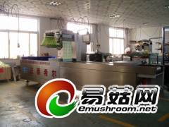 供应茶叶,糖果,玉米,粮食双室真空包装机图2