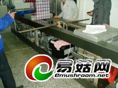 供应茶叶,糖果,玉米,粮食双室真空包装机图1