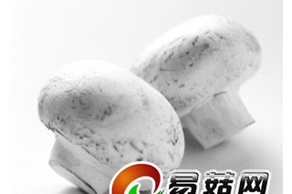央視：蘑菇富含重金屬？ 這種說(shuō)法不靠譜 ()