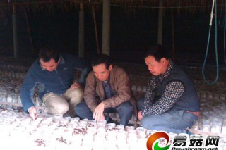 建陽(yáng)市大力推廣茶樹(shù)菇無(wú)公害栽培技術(shù) ()