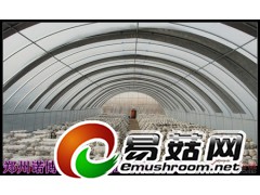 蘑菇降温大棚的建造及使用方法图3