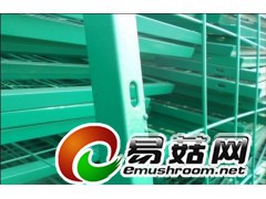 厂家直销食用菌网格，出菇网格.图2