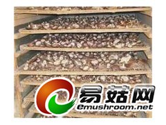 食用菌烘干设备图1