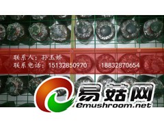 供应出菇网格，蘑菇网片，杏鲍菇网格，厂家自产自销，质量保证图1