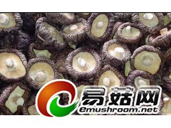 求购干蘑菇图1