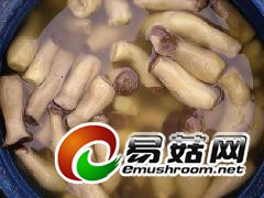 求购盐渍杏鲍菇图1