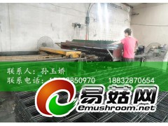 厂家供应食用菌网格，出菇网格，蘑菇网片图2