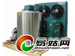 云南贵州四川广西安徽小型水产食品超市商业片冰机图2