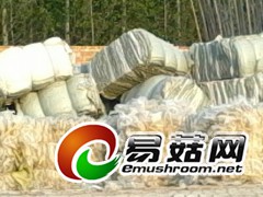出菇后的废食用菌袋子  废大棚塑料布图1