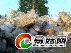 出菇后的废食用菌袋子  废大棚塑料布图2