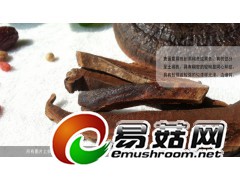 野生灵芝-琼洲岛无柄紫芝图3