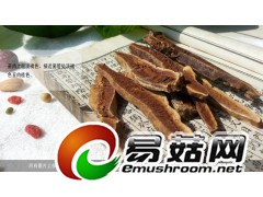 野生灵芝-琼洲岛无柄赤芝图3