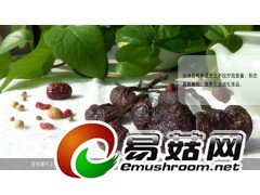 野生灵芝-琼洲岛弯柄灵芝王图2