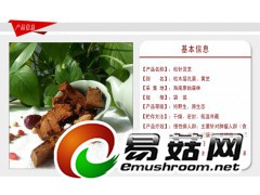 野生灵芝-琼洲岛松针灵芝图1