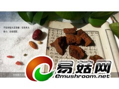 野生灵芝-琼洲岛桑黄灵芝图2