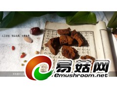 野生灵芝-琼洲岛桑黄灵芝图3