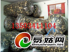 鲁山县沙河香菇园,史先生供应图1