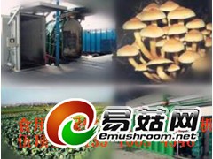 山东江苏浙江广东云南金华出口食用菌磨菇保鲜冷藏速冻真空预冷机图1