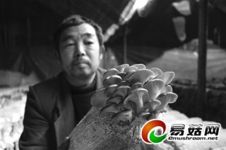 陳世印種植有偏方 水淹大棚殺菌無公害鮑魚菇銷路好 ()