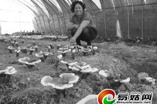 周光梨：“采蘑菇的小姑娘”義烏淘金 ()