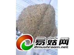 大量供应---细木屑细粒图1