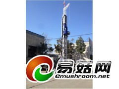 XPB-20B步履行走 单双三管通用高压旋喷钻机 桩机图2