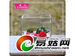 批发加工定做玻璃瓶玻璃水养方缸图2