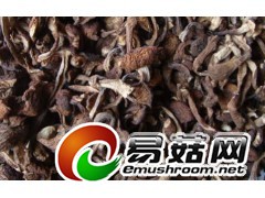 求购干榛蘑图1