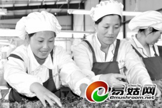 海林市“半分田”上做文章 產(chǎn)業(yè)化盤活“菌”市場 ()