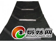 八字型花纹输送带/青岛八字型花纹输送带图1