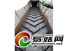 八字型花纹输送带/青岛八字型花纹输送带图2