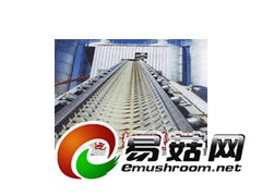 八字型花纹输送带/青岛八字型花纹输送带图3