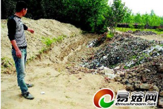 忙活了兩年的天麻地一夜之間被挖成大坑 ()