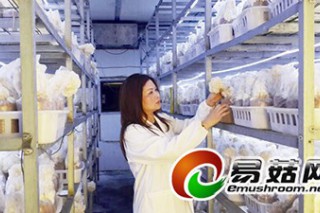 福建“女菇農(nóng)”陳美英：要做大做強食用菌產(chǎn)業(yè) ()