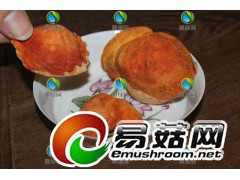 保健功能的保健食品牛樟菇图1