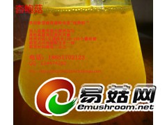 茶树菇 液体菌种 发酵罐 培养基 营养料 培养料图1