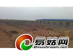 双层膜温室大棚图2