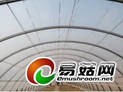 双层膜温室大棚图1