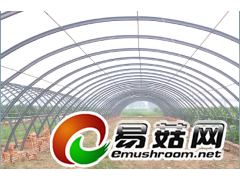 双层膜温室大棚图3