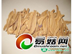 大量供应黄山灵芝图2