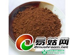 大量供应黄山灵芝图3