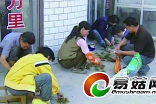 金寨深山突現(xiàn)大量"冬蟲夏草" 藥販堅稱是真的 ()