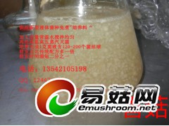 香菇 液体菌种 发酵罐 培养基 营养料 培养料 免煮配方图1